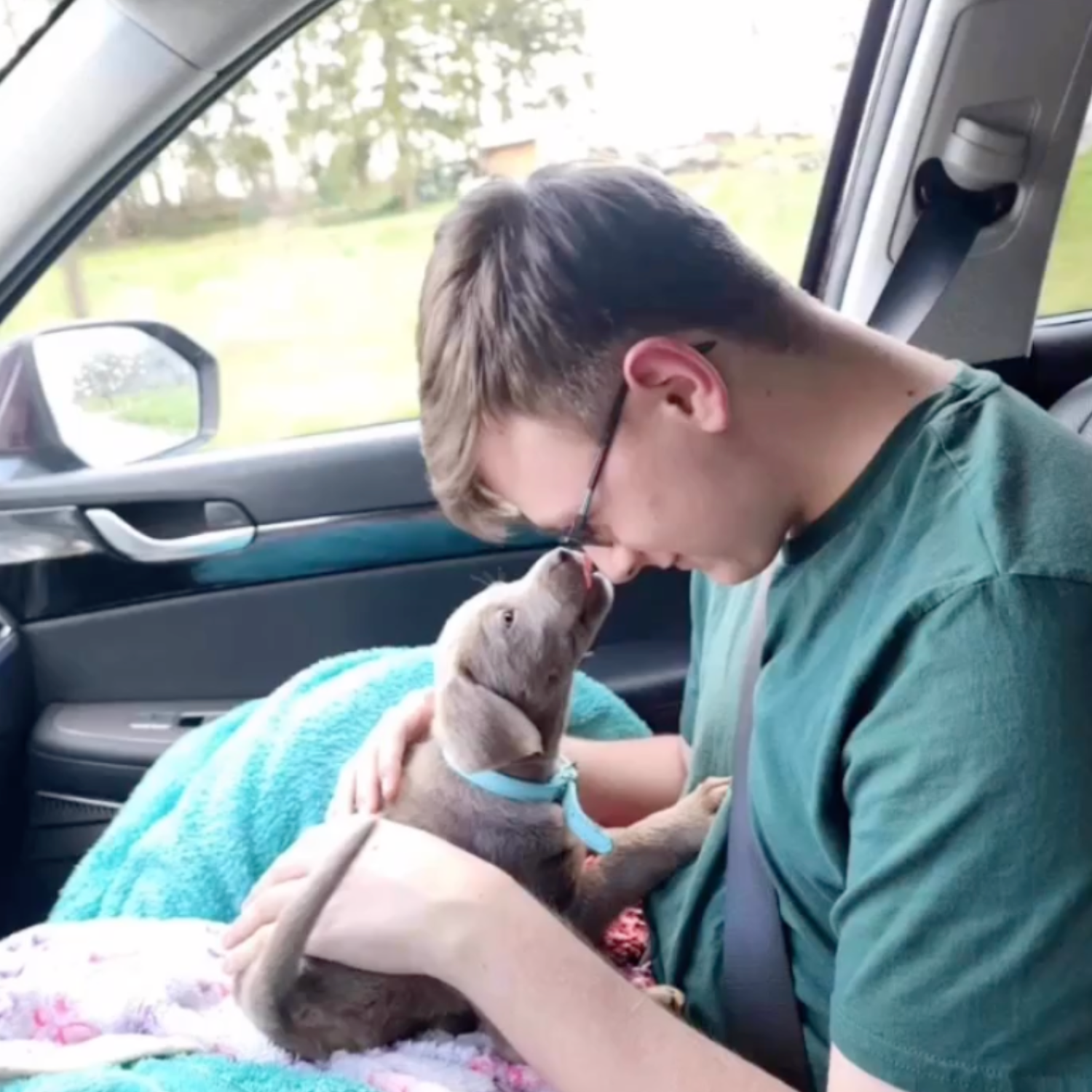 Young Guardian Family member holding puppy in the car on pickup day